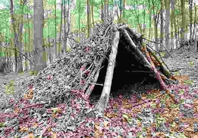 A Man Building A Lean To Shelter Ninja Wilderness Survival Guide: Surviving Extreme Outdoor Situations (Modern Skills From Japan S Greatest Survivalists)