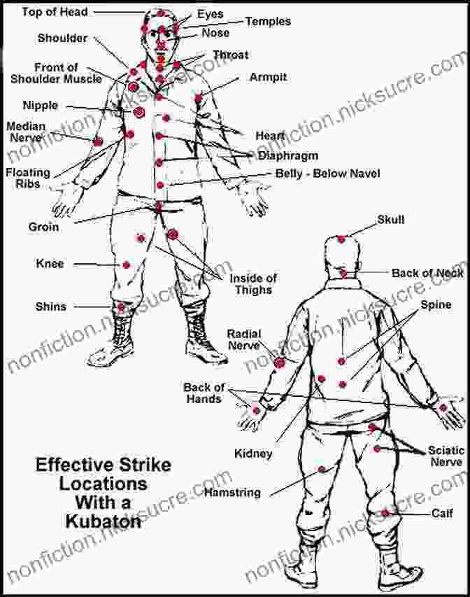 Pressure Point Diagram Complete Krav Maga: The Ultimate Guide To Over 250 Self Defense And Combative Techniques