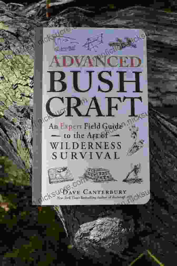 Wilderness Survival Guide Advanced Bushcraft: An Expert Field Guide To The Art Of Wilderness Survival