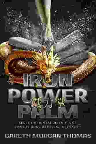 Iron Power Palm: 97 days to skull smashing power Secret oriental methods of combat bone breaking revealed