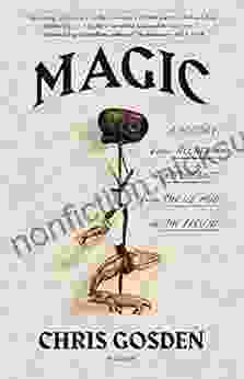 Magic: A History: From Alchemy To Witchcraft From The Ice Age To The Present