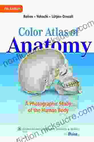 Anatomy: A Photographic Atlas (Color Atlas Of Anatomy A Photographic Study Of The Human Body)